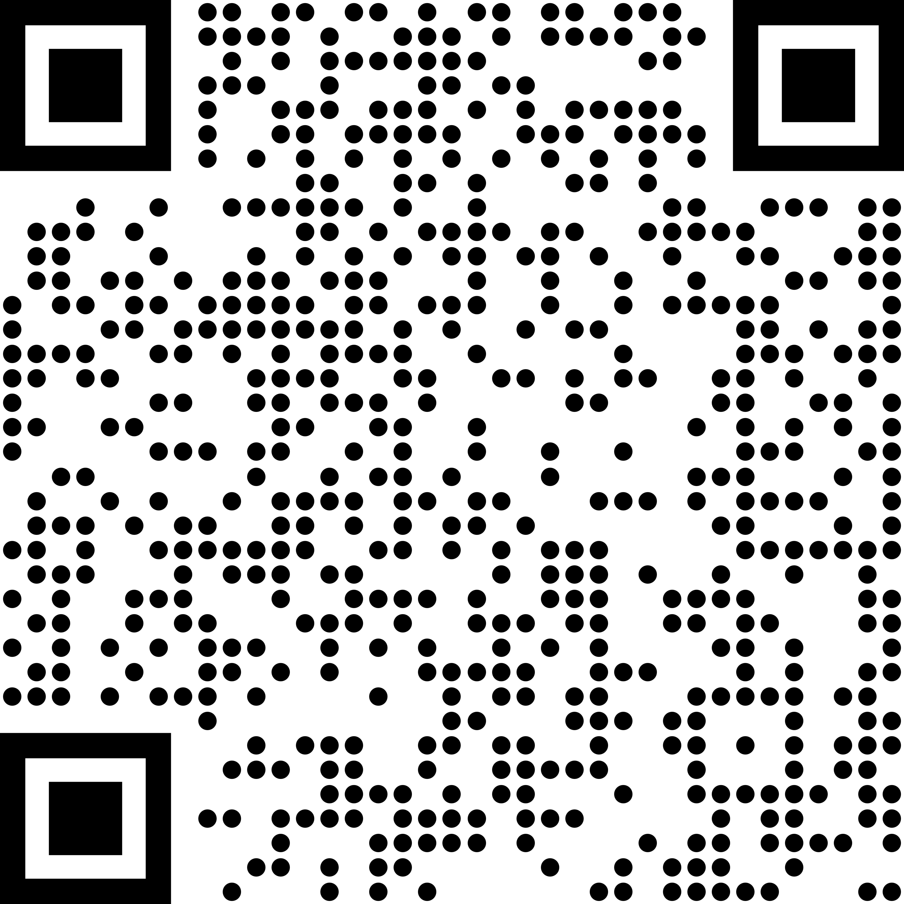QR Code - Save RaynAirJets Contact